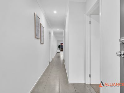 51 Freehold Street, Doreen