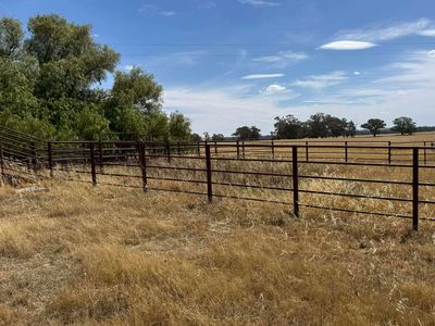 342 Olieview Road, Parkes