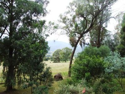 35 Diggings Road , Tawonga