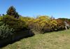 6 Ironbark Road, Orange