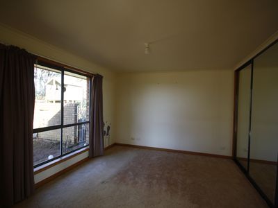 239 Tollymore Road, Table Cape