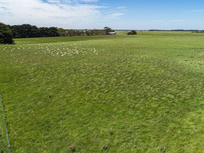 Lot 77 & 80, Fisher Road & O'Neils Lane Wattle Range, Millicent