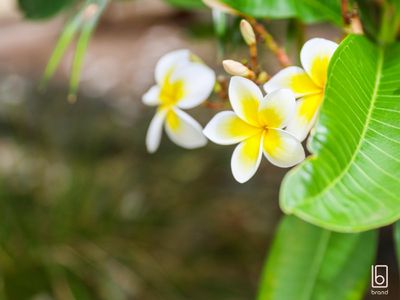 28 Orana Road, Gwandalan