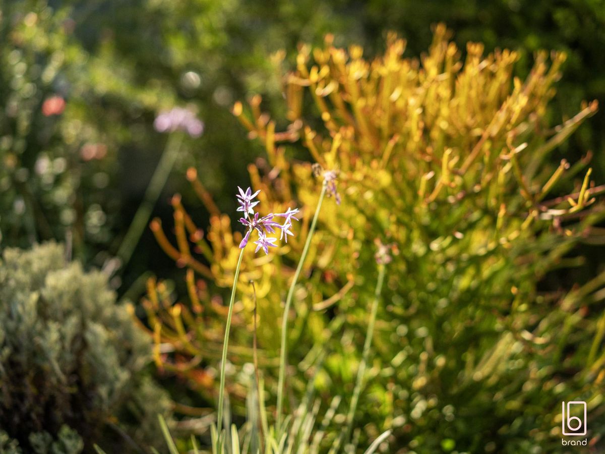 327 Warnervale Road, Hamlyn Terrace
