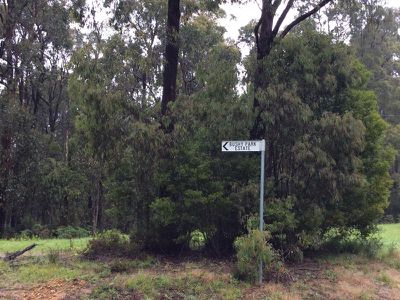 50 Bushy Park Estate Road, Kinglake