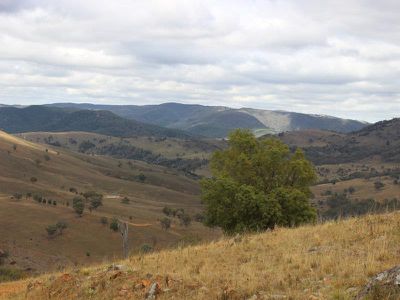1735 The Bridle Track, Bruinbun