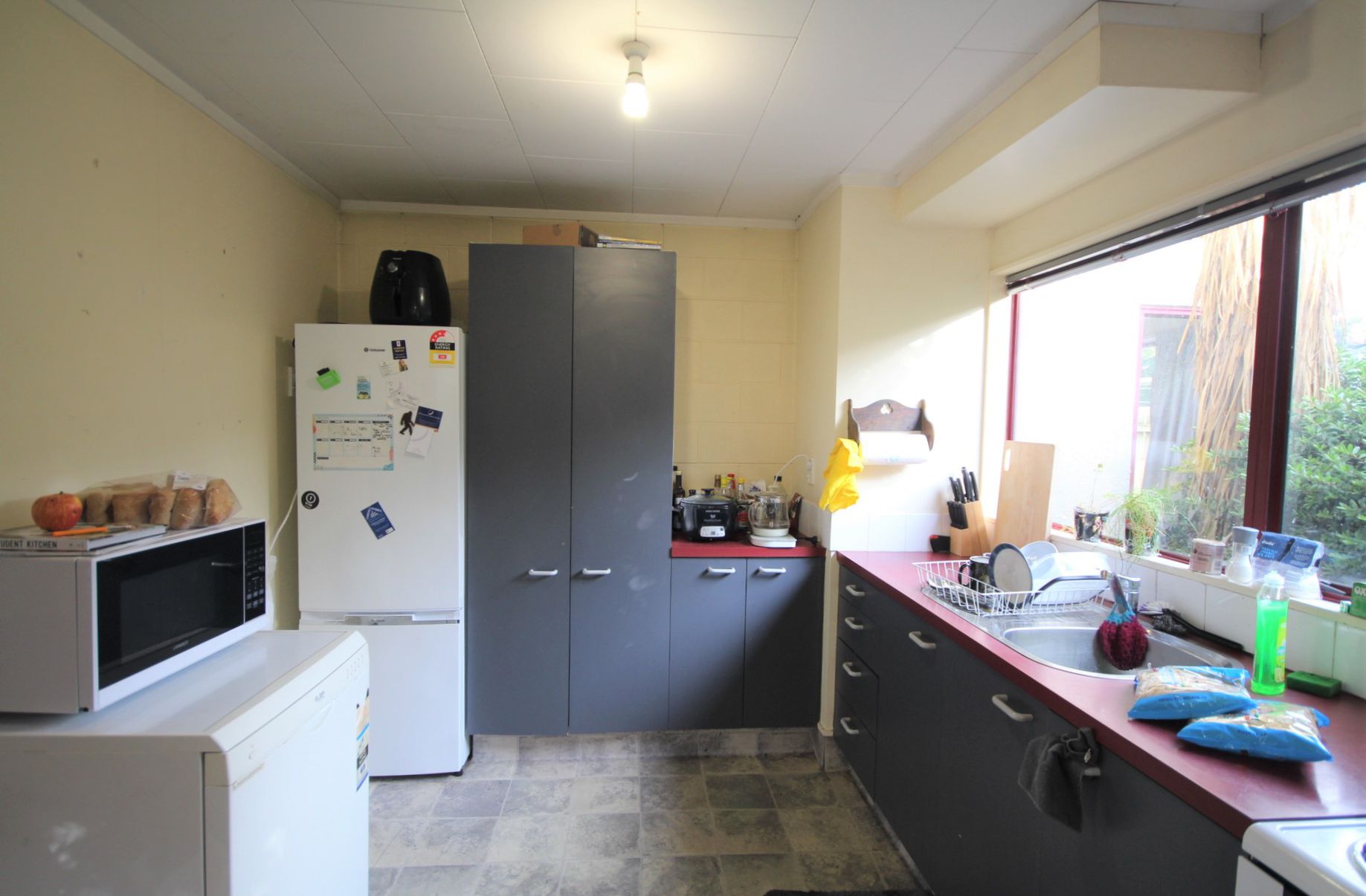 3 / 791 Great King Street, North Dunedin