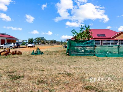 34L Bunglegumbie Road, Dubbo