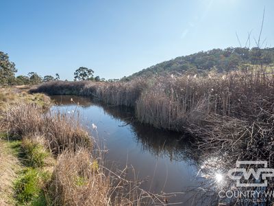 1651 Shannon Vale Road, Shannon Vale