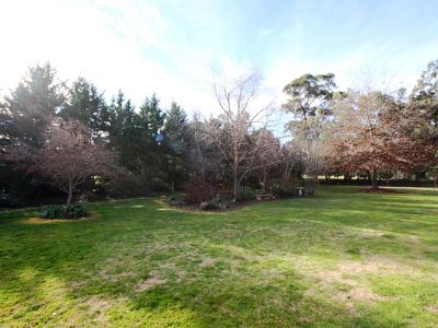 41 Rose Place, Waldara