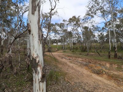 Lot 2 Davis Road, Mount Camel