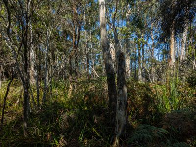 Lot 17 Flakemores Road , Eggs And Bacon Bay