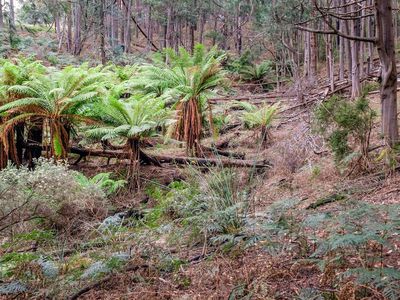 106 Coal Mine Road, Gardners Bay