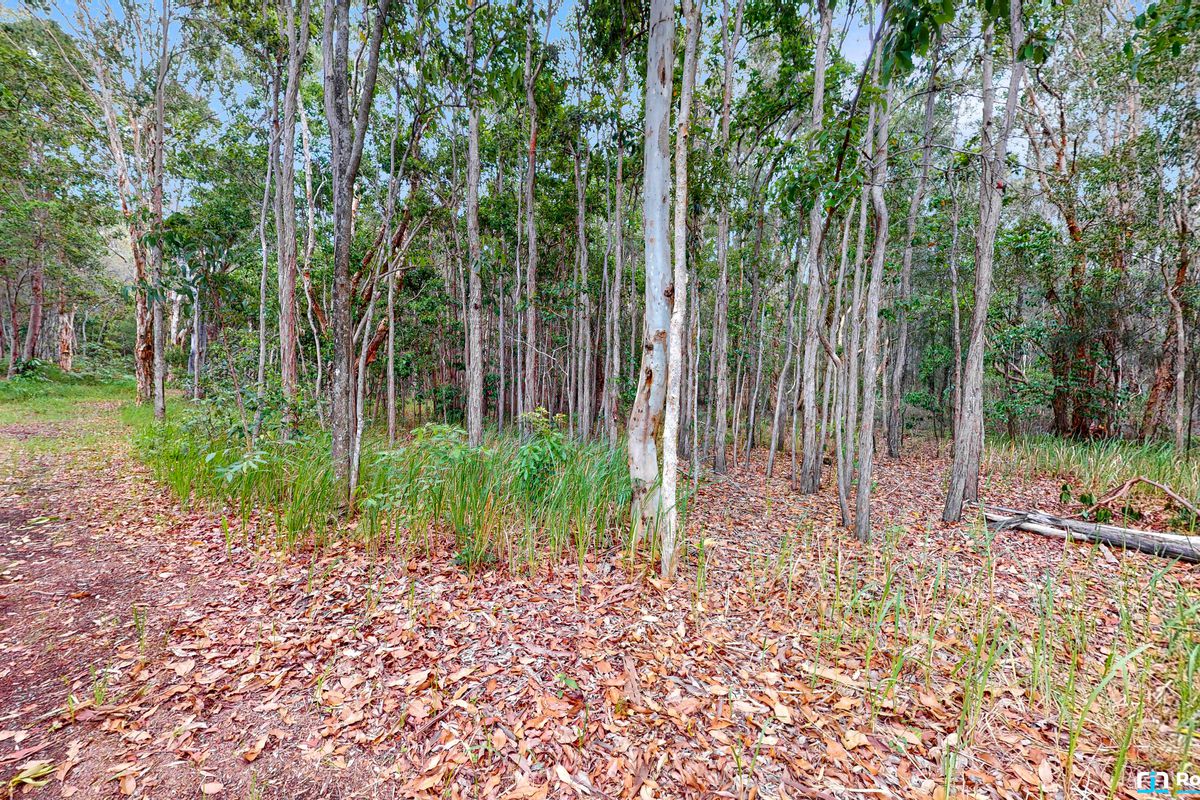 15 Oakleaf Close, Tewantin
