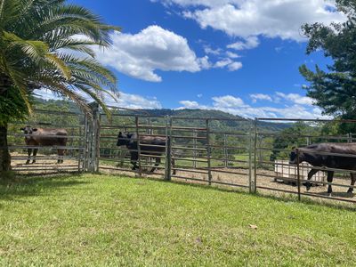 94 Hutchinson Road, Nimbin