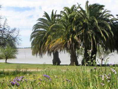 Mystic Park