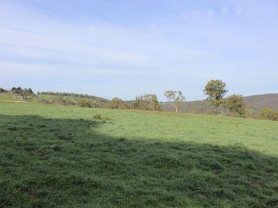 Jerry's Falls Road, Sodwalls