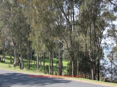26 Coolangatta Street, Coomba Park
