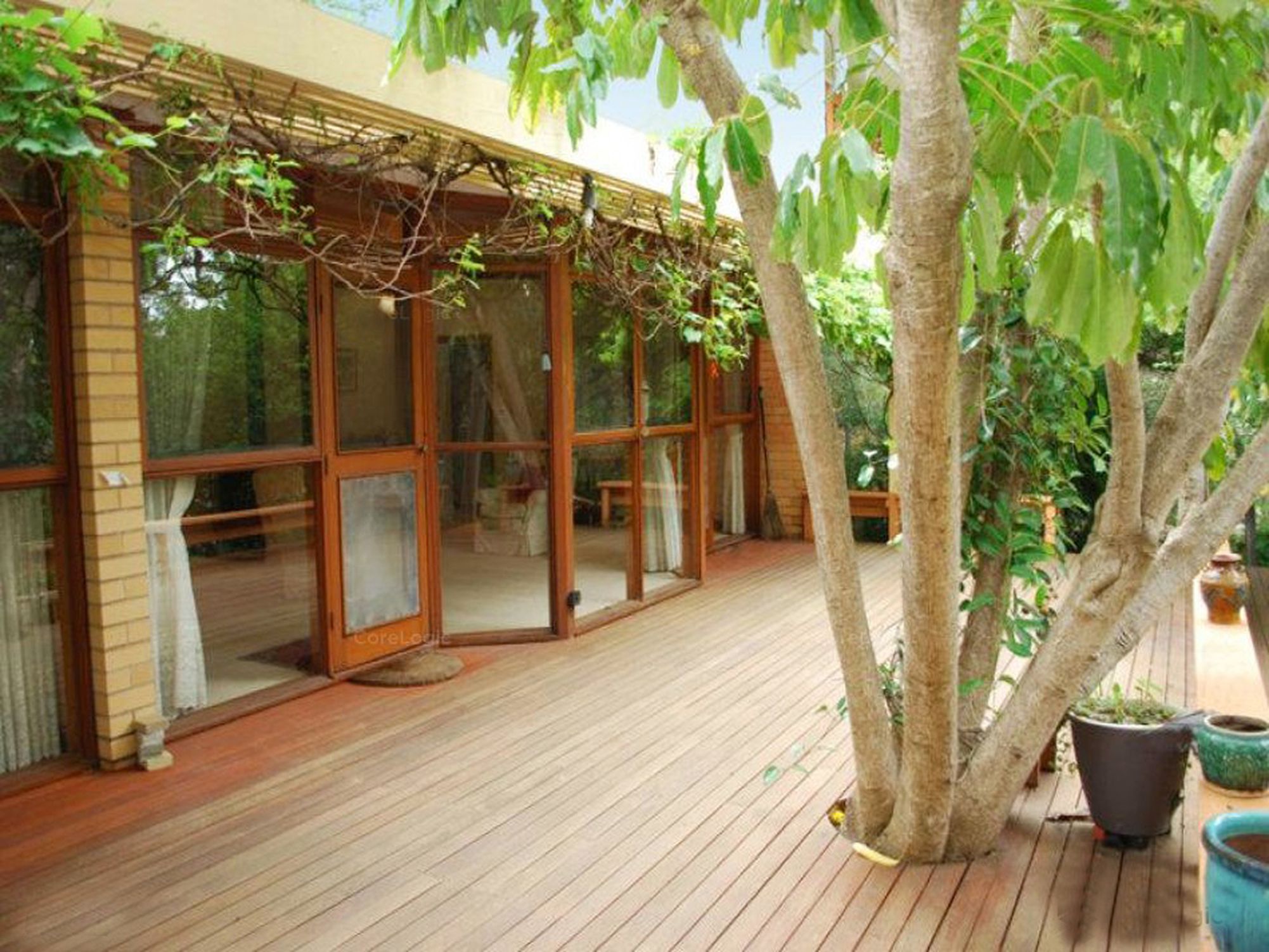 16 Alma Street, Panorama