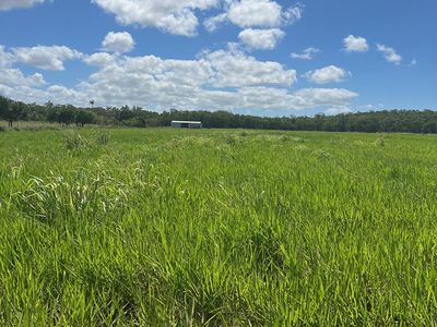 Bruce Highway, Daveson