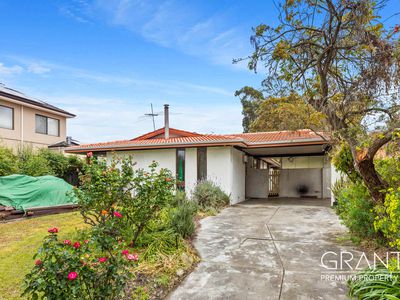 Lot 1, 7 View Road, Mount Pleasant