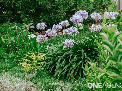 49 Clissold Street, Mollymook