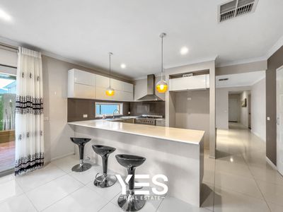 49 Springleaf Avenue, Clyde North