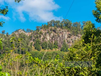 561 Left Bank Road, Mullumbimby Creek