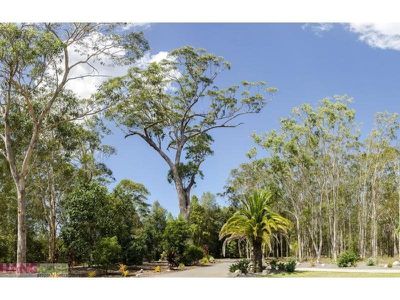 38 Coral Fern Drive, Cooroibah