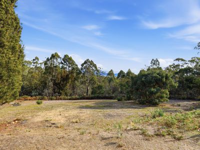 181 White Hill Road, Forcett