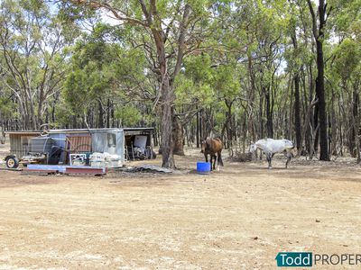 117 Lewis Road, Heathcote
