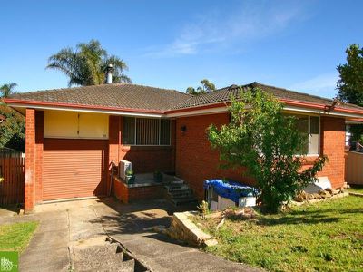 Mount Warrigal