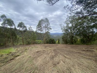 Lot 220 Comboyne Road, Byabarra