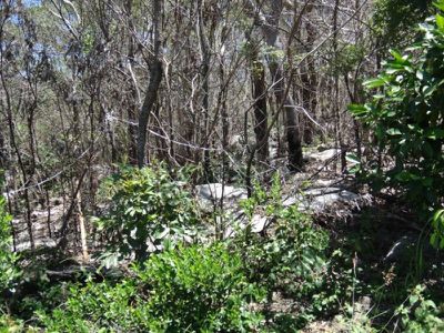 8 Quarantine Bay, Cooktown