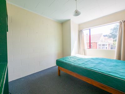 543 George Street, North Dunedin