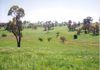 Lot 2 Icely Road, Orange
