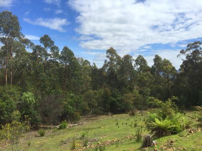 667 Bermuda Road, Glen Huon