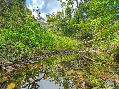 Share 8 / 358 Burringbar Road, Upper Burringbar