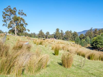 Ra Alans Road, Petcheys Bay