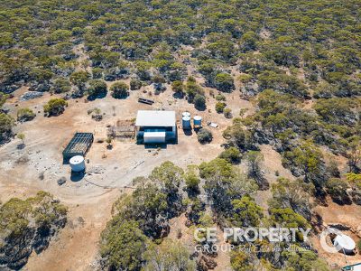 113 / Mallee Road, Walker Flat