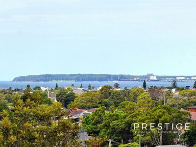 219 / 213 Princes Highway, Arncliffe