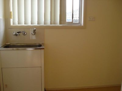 Mount Warrigal