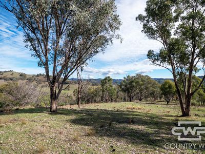 Lot 21 Halls Creek Road, Bendemeer
