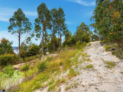 13 Eva Gully Road, Brooks Bay