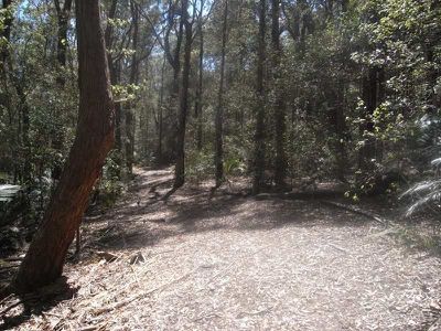 870 Leebold Hill Road, Kangaroo Valley