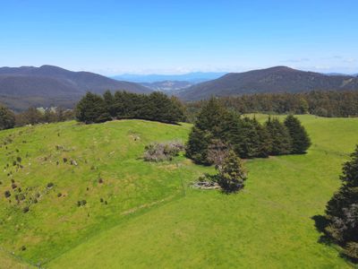 Lot 1 (51 Acres) Coal Mine Road, Kaoota