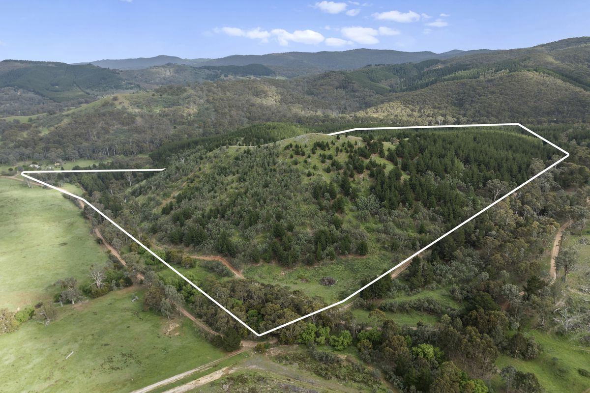 259 Hells Hole Creek Road, Bonnie Doon