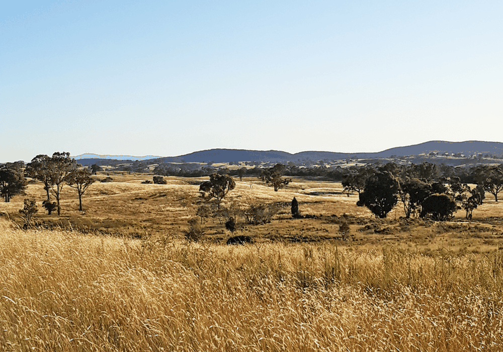 660 Kerrs Creek Road, Kerrs Creek