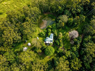 1 / 4  Wallaby Road, Nimbin