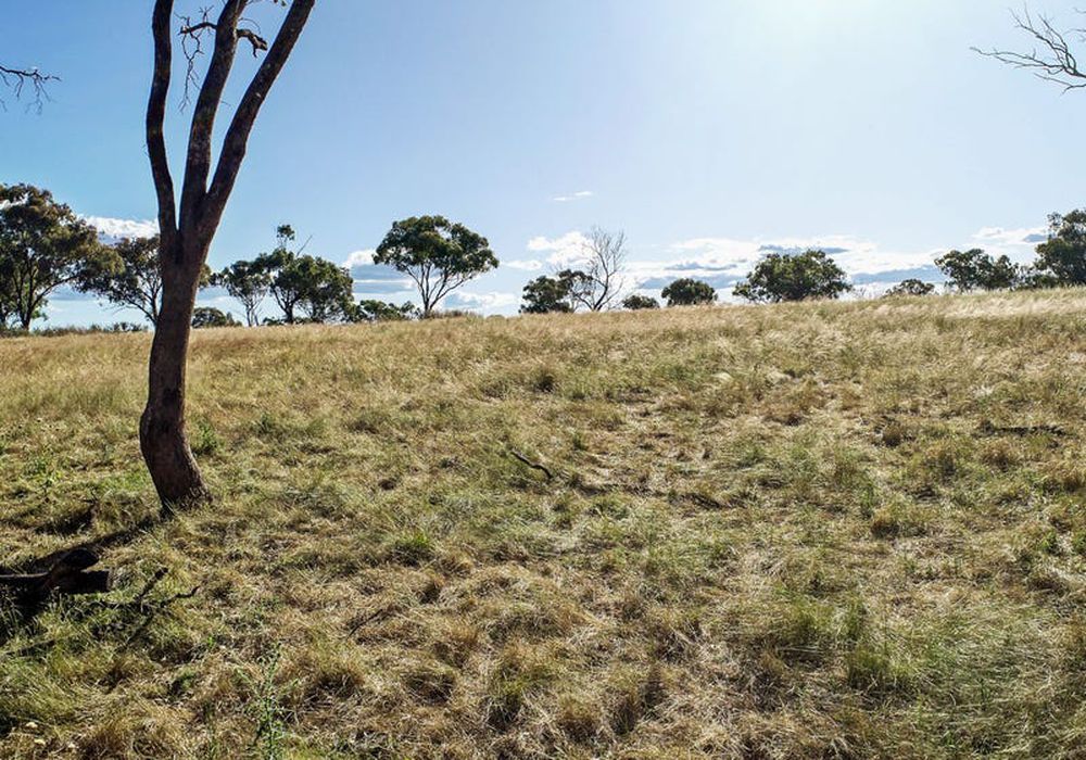 11 / Stapletons Road, Molong